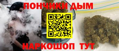 сатива Будённовск