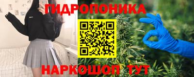 сатива Будённовск