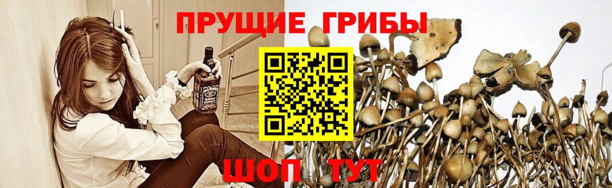 Галлюциногенные грибы мицелий Новоуральск